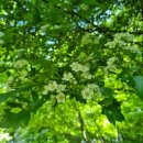 장지공원 화장실 이미지