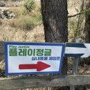 휘바핀란드위드플레이정글