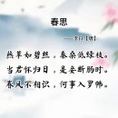 224 唐诗三百首《春思》 李白诗歌欣赏 이미지