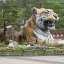 백마공원 이미지