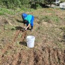 상국농장 이미지