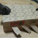 천만관객 이미지