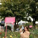 해피쩡