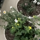 종아농장 이미지