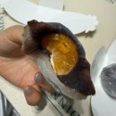 모꼬싶찌