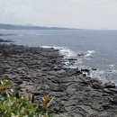 언덕카페 이미지