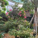 한국토종씨앗박물관 | 상동호수공원, 부천호수식물원 수피아, 한국만화박물관, 부천한옥체험마을(2026.2.16)때이른 봄을 만끽...