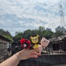 시소 민박 | 초등학생 아이와 함께하는 1박2일 가을 순천여행💚