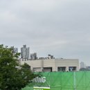 2025 올리브영 페스타 내돈내산 오전 방문 후기 - 준비물, 팁, 증정품