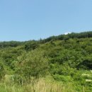 곡성-137 이미지