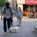 디비유 이미지