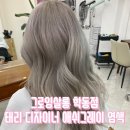 태리학동