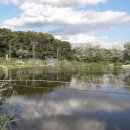 남방낚시터 이미지