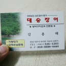 대승장어 이미지