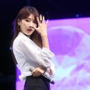 금조푸드