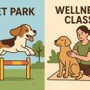 더위크앤리조트(더우프앤) 이미지