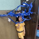 마포대진유치원 이미지