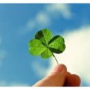 영어(기초문법) 이미지