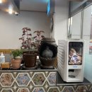 국산콩토담순두부 | 대구 진천동 맛집 국산 콩을 사용 한 도원청국장순두부 후기