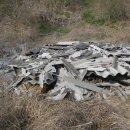 용혈1리 이미지