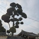 옛집 이미지