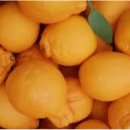 내혜홀농장 이미지