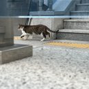 이동배의원 이미지