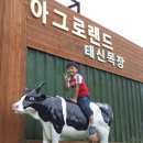 태신농장 이미지