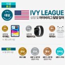 헥사교육올림피아드수학