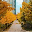 서울 여행, 가을 정취를 느낄 수 있는 단풍 명소 BEST 4 이미지
