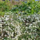 시련을 이겨내면 생명수가 된다 이미지