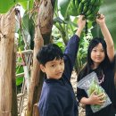 브로디캠프 이미지