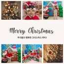 베이비캐슬어린이집 이미지