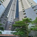 양덕동206 이미지