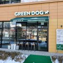 그린도그 청라점(GREEN DOG) | 청라 카페 맛집 애견동반카페 그린도그 Green dog