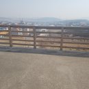파주우리부동산공인중개사사무소 이미지