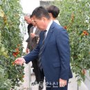 김산농장 이미지