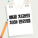 스타서울치과 이미지