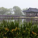 제림세탁 | 충청도 가볼 만한 곳 베스트 10, 주말여행 추천! - 충청도 여행, 충청도 가볼 만한 곳, 주말여행, 주말...