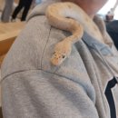 젠틀푸드(이름 변경) | 나에게 찌르르 전기를 주는 것은 무엇인가