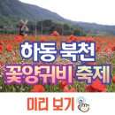 하동유료주차장 ~ 백운탕 | 하동 북천 꽃양귀비 축제, 개화시기