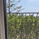 여니집 | 파주방충망 여니방충망 자가세척 관리가 쉬운 발수코팅 미세방충망 교체 후기