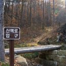하늘숲 야영장 이미지