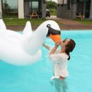 더 헤이븐(The Haven) 이미지