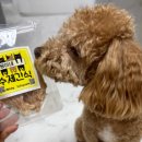 뭉이네 수제간식 이미지