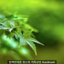 감로탕 이미지