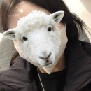 이마트24 양정연수로점 | Hafa Adia - 괌