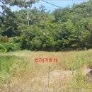 남해대로 이미지