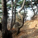 무성산 이미지