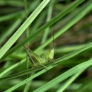 여치공원 이미지